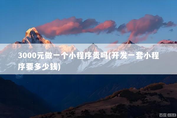 3000元做一个小程序贵吗(开发一套小程序要多少钱)